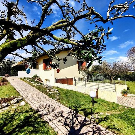 Villa Ama Pordenone Bagian luar foto