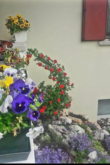 Villa Ama Pordenone Bagian luar foto