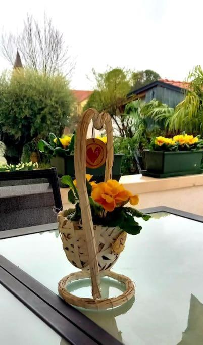Villa Ama Pordenone Bagian luar foto
