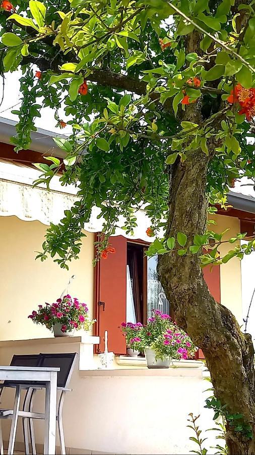 Villa Ama Pordenone Bagian luar foto